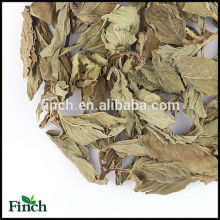 FT-013 Dried Mint Peppermint Loose Leaf Scented Flower Herbal Tea